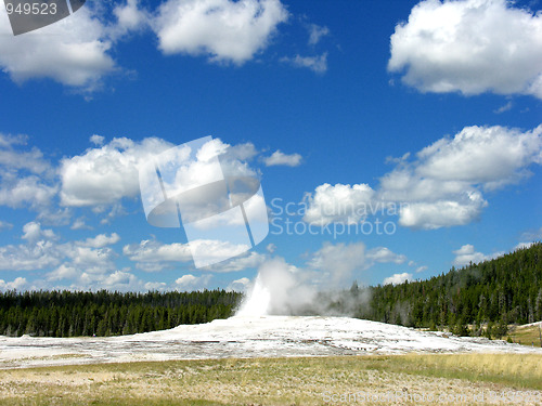 Image of Old Faithful, Yellowstone National Park