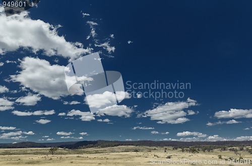 Image of meadow