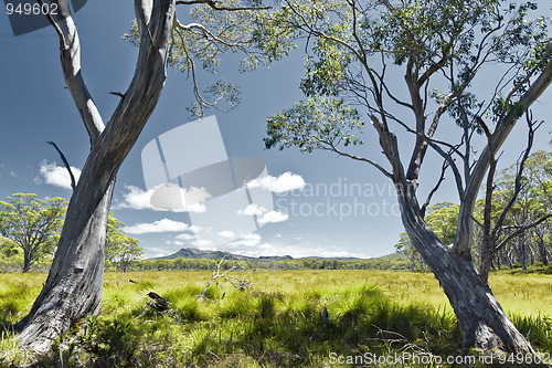 Image of Tasmania