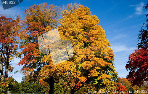 Image of Autumn in Canada  No1