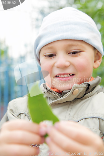 Image of Little  boy looking at leaf