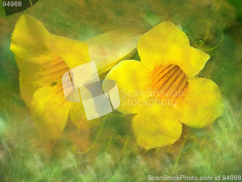 Image of Yellow Trumpet Vine Abstract