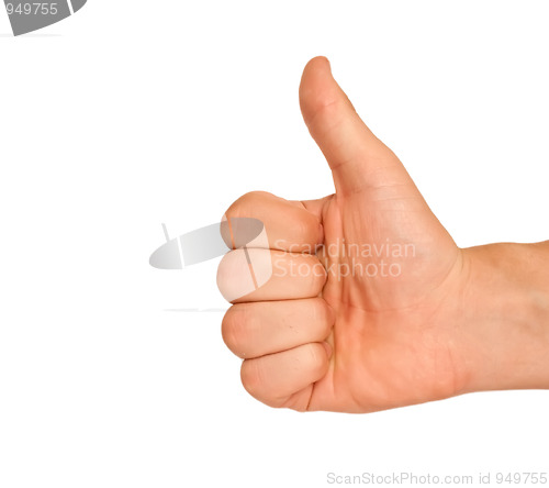 Image of The thumb lifted upwards on a white background