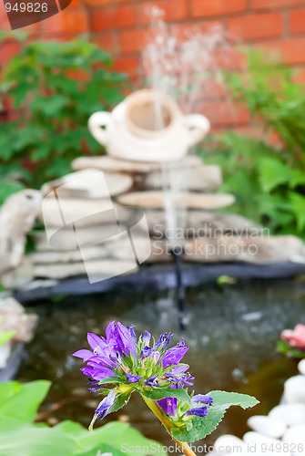 Image of Lilac flower 