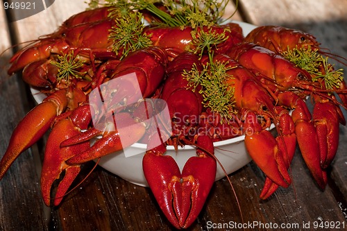 Image of Crayfish