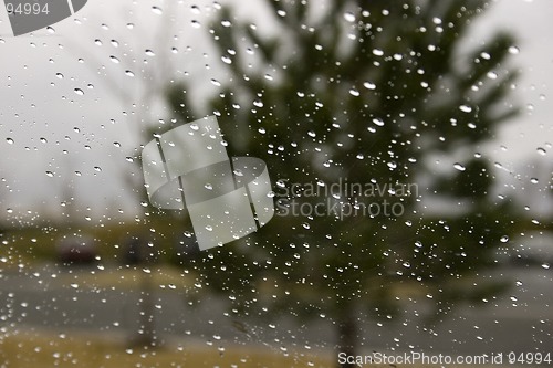 Image of Rain Drops on the Windshield