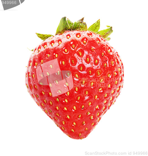 Image of Organic Strawberry