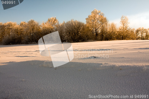 Image of  	Winter days