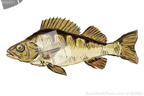 Image of perch