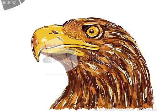 Image of eagle