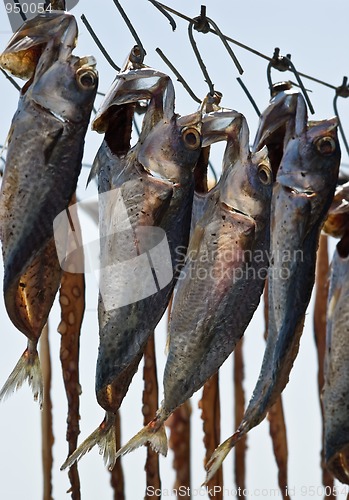 Image of Drying fish