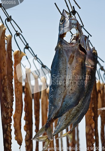 Image of Drying fish