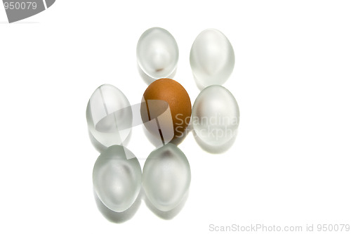 Image of  	Chicken eggs