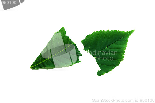 Image of sheet
