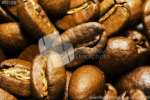 Image of  Coffee grains