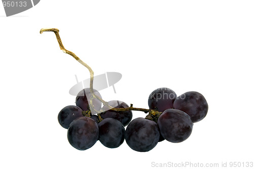 Image of  	Fruits of a grapes