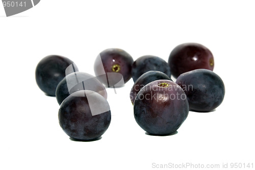 Image of Fruits of a grapes