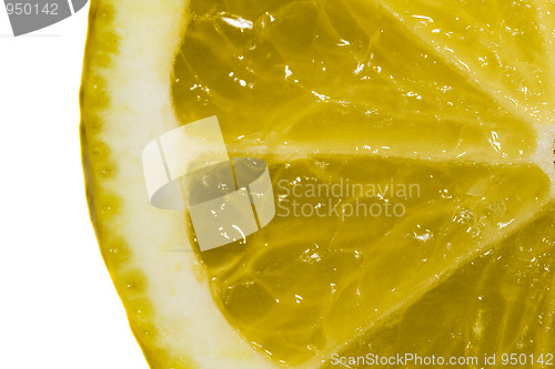 Image of Citron feed