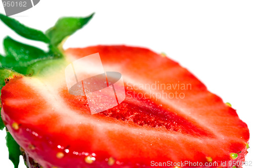 Image of Strawberry