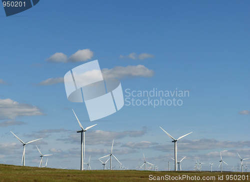 Image of Wind farm and blue sky
