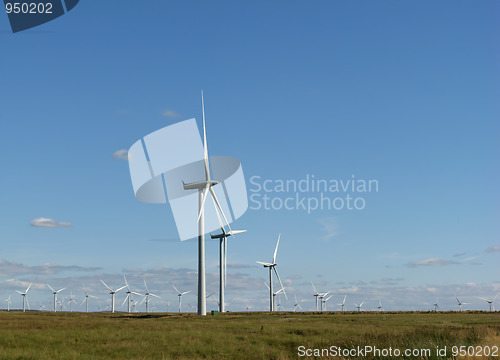 Image of Wind farm in Scotland, Europe