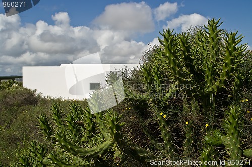 Image of Suburbs of Teguise