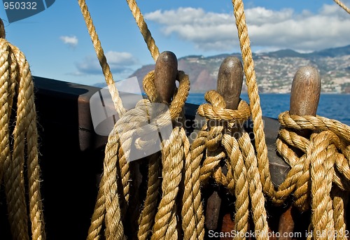 Image of Sailing along Madeira coast