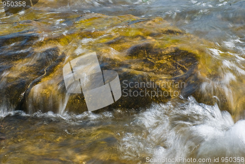 Image of Water splashes