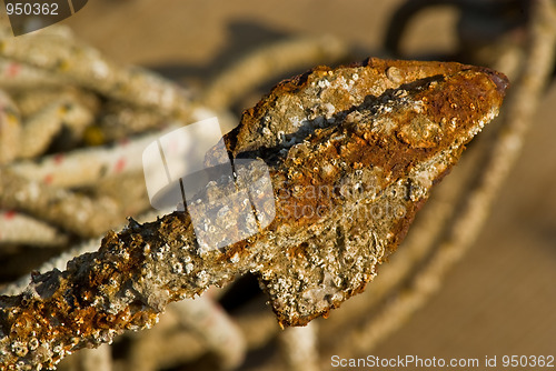 Image of Rusty anchor claw