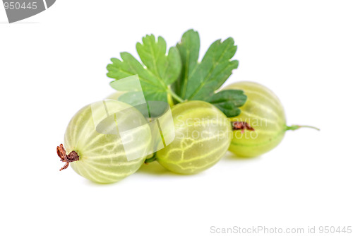 Image of gooseberries