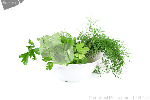 Image of dill and parsley