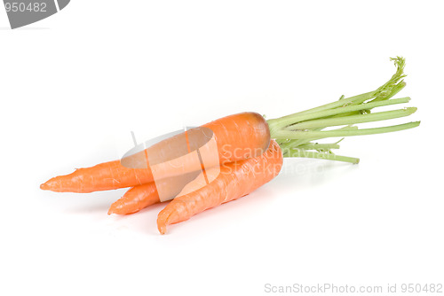 Image of Carrots