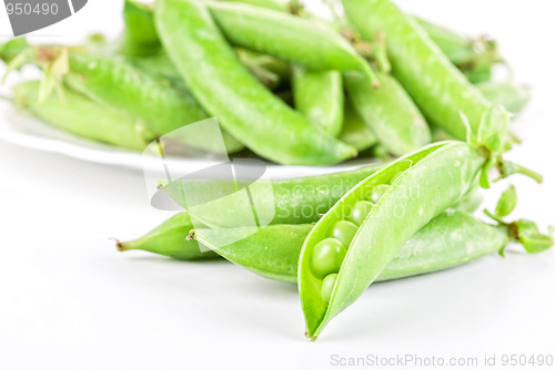 Image of Ripe pea