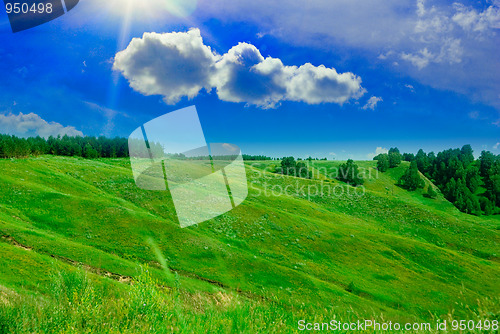 Image of summer landscape
