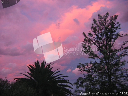 Image of Nightfall in Africa