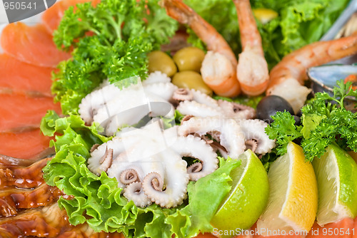 Image of Seafood set