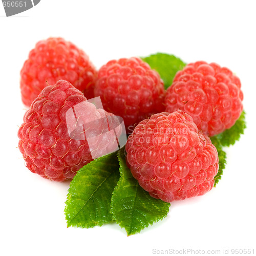 Image of fresh raspberry