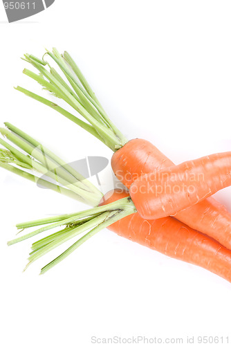 Image of Carrots