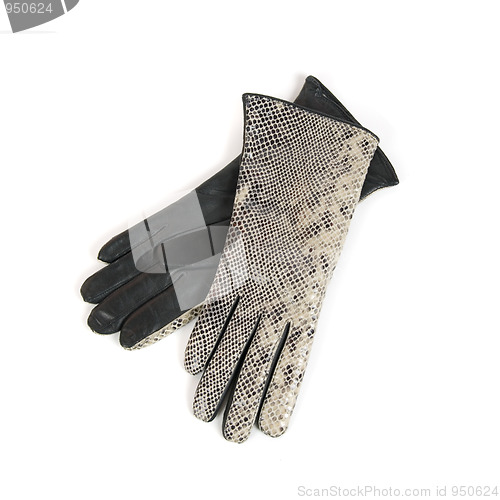 Image of Grey female leather gloves