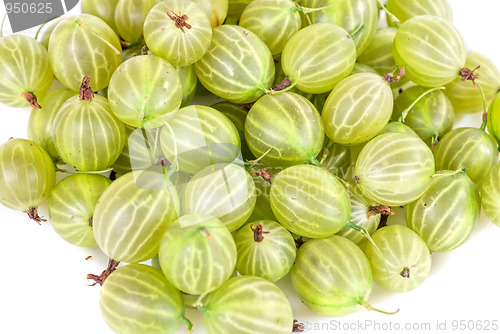 Image of gooseberries