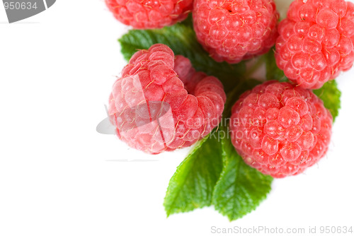 Image of fresh raspberry