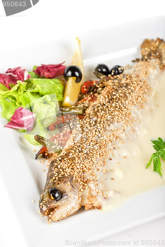 Image of trout fish