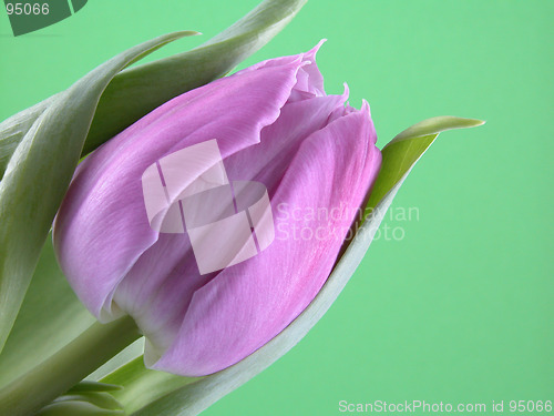 Image of spring time