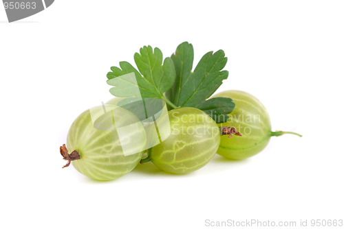 Image of gooseberries