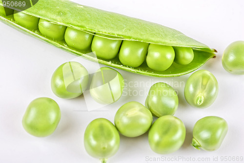 Image of Ripe pea