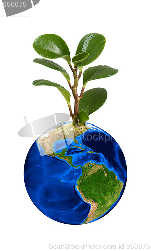 Image of Earth planet with earth