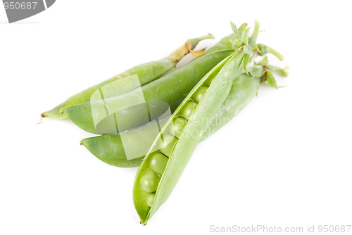 Image of Ripe pea