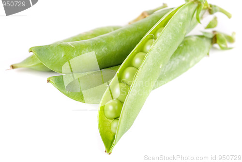 Image of Ripe pea