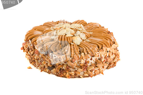 Image of tasty nuts cake