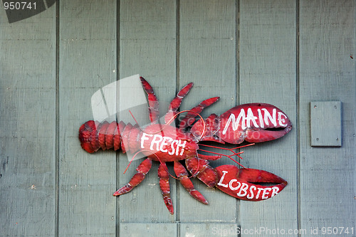 Image of Maine Lobster